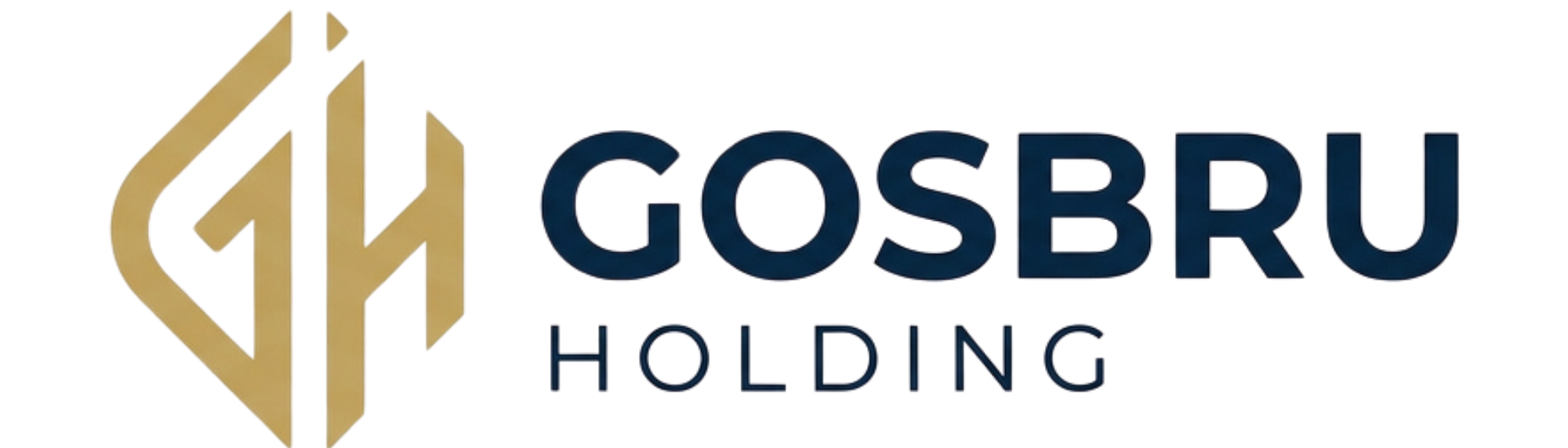 Gosbru Holding